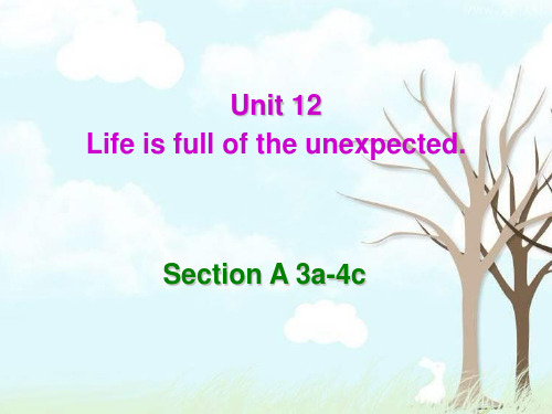 人教版英语九全Unit 12 Section A(3a-4c)(共37张PPT)