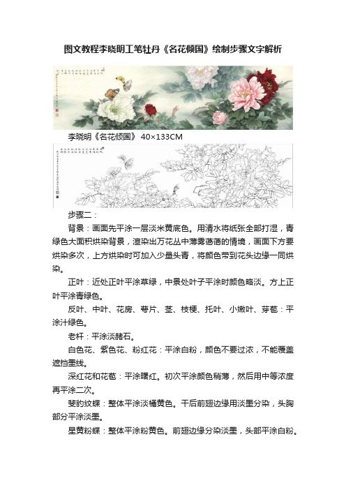 图文教程李晓明工笔牡丹《名花倾国》绘制步骤文字解析