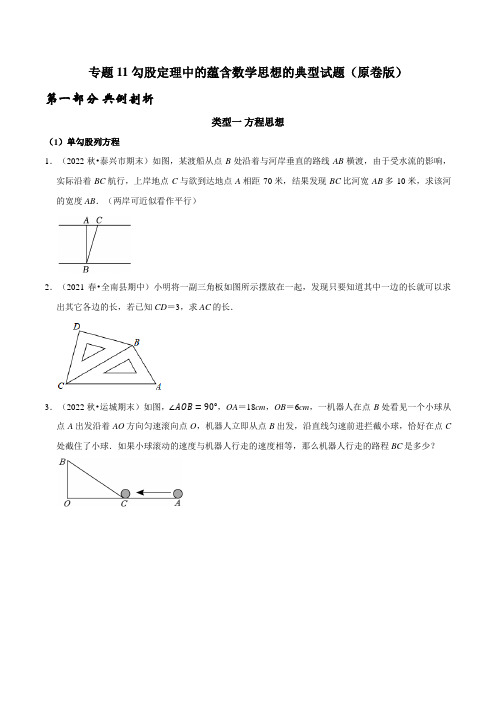 [数学]-专题11 勾股定理中的蕴含数学思想的典型试题(原版)