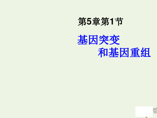 2020-2021学年高中生物第五章基因突变及其他变异1基因突变和基因重组课件新人教版