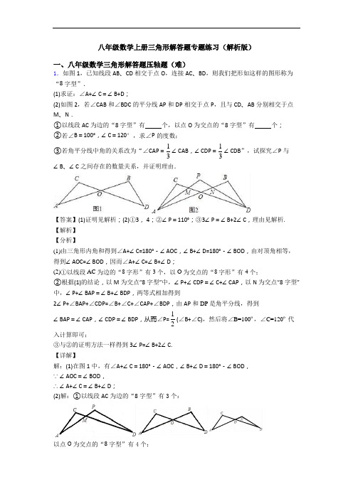 八年级数学上册三角形解答题专题练习(解析版)