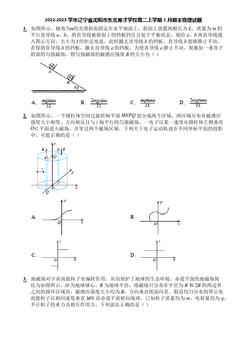 2022-2023学年辽宁省沈阳市东北育才学校高二上学期1月期末物理试题