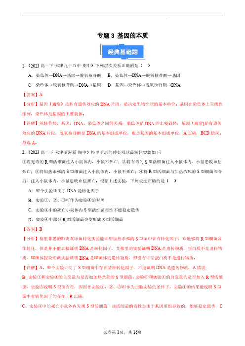 2023-2024学年高一生物下学期期中真题分类汇编(天津专用)基因的本质(解析版)