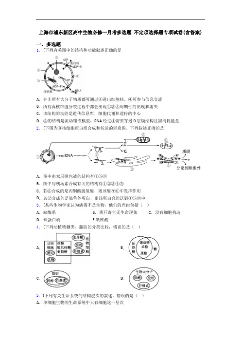 上海市浦东新区高中生物必修一月考多选题 不定项选择题专项试卷(含答案)