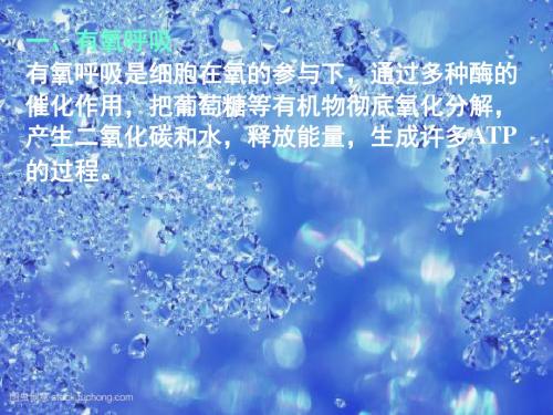 高中生物必修(共60张PPT)