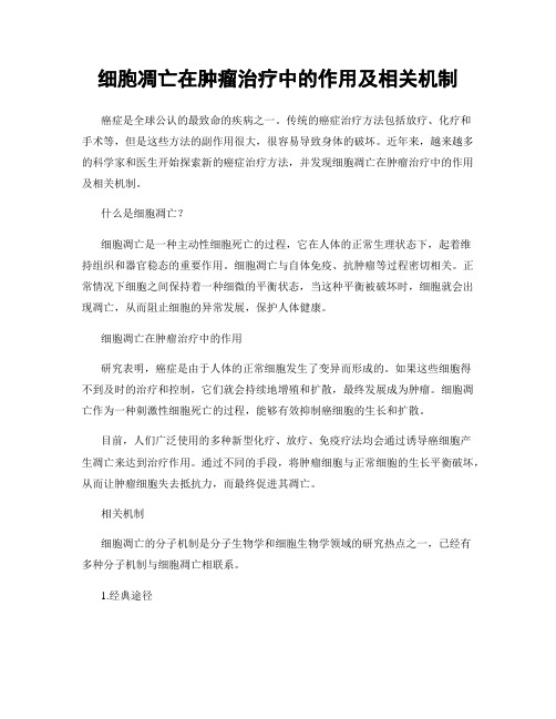 细胞凋亡在肿瘤治疗中的作用及相关机制