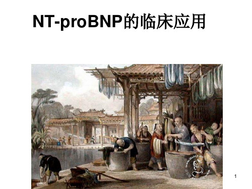 N末端B型钠尿肽前体的临床应用