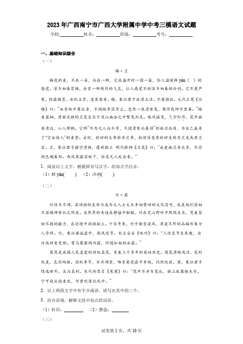 2023年广西南宁市广西大学附属中学中考三模语文试题(含答案解析)