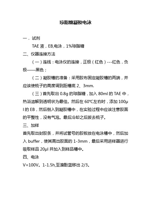琼脂糖凝胶电泳