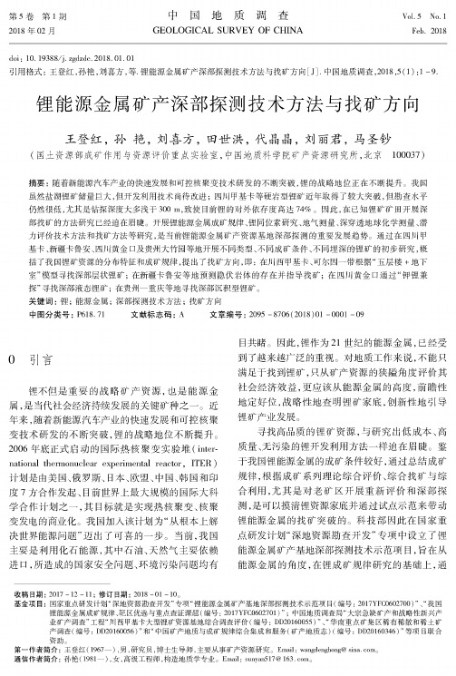 锂能源金属矿产深部探测技术方法与找矿方向