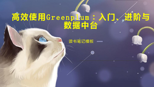 高效使用Greenplum：入门、进阶与数据中台