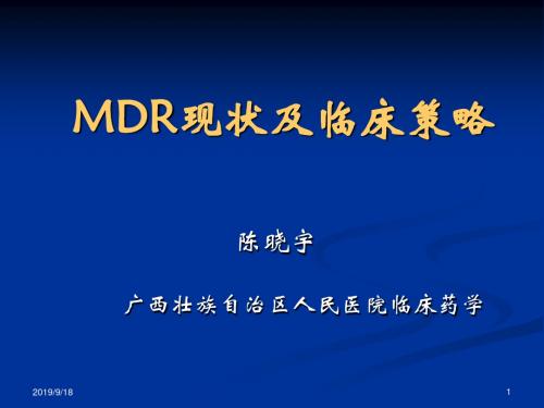 MDR现状及临床策略 PPT课件