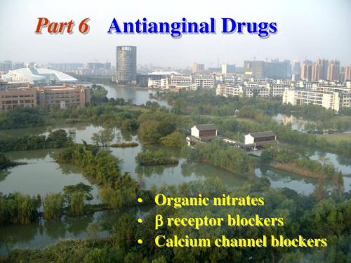 Antianginal Drugs(抗心绞痛药)