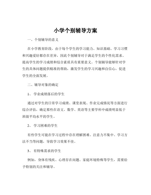 小学个别辅导方案