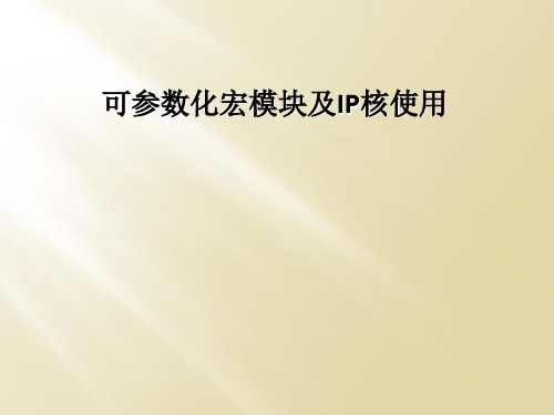 可参数化宏模块及IP核使用