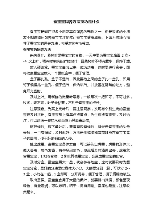 蚕宝宝饲养方法技巧是什么