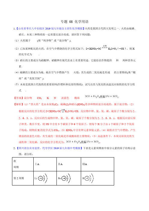 备战20年中考大题训练 专题08 化学用语(解析版)