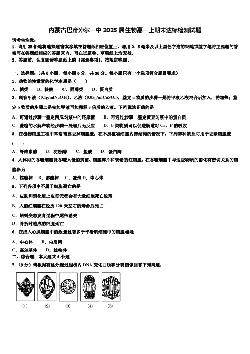 内蒙古巴彦淖尔一中2025届生物高一上期末达标检测试题含解析