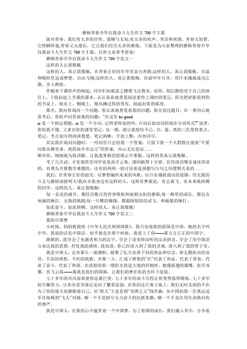 磨砺青春升华自我奋斗人生作文700字5篇