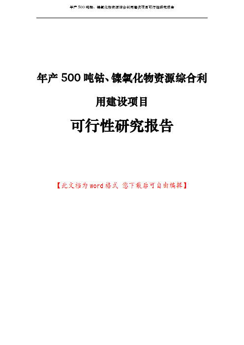 年产500吨钴、镍氧化物资源综合利用建设项目可行性研究报告