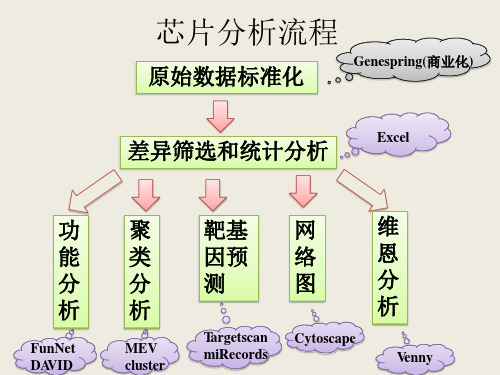 基因转录数据分析软件使用过程简介