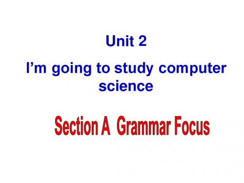 鲁教版七年级英语下册Unit 2《I’m going to study computer...》(SectionA 3c)课件