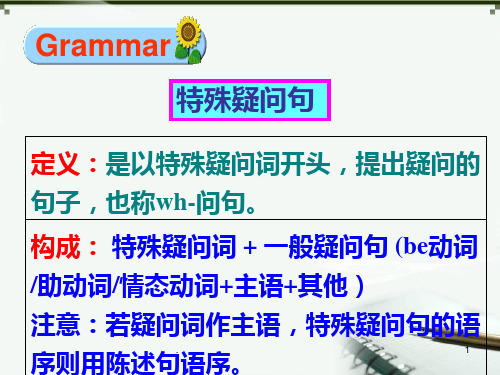初中英语--特殊疑问句PPT课件