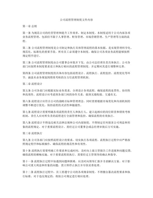 公司流程管理制度文件内容