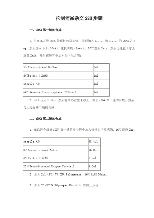 抑制消减杂交SSH步骤