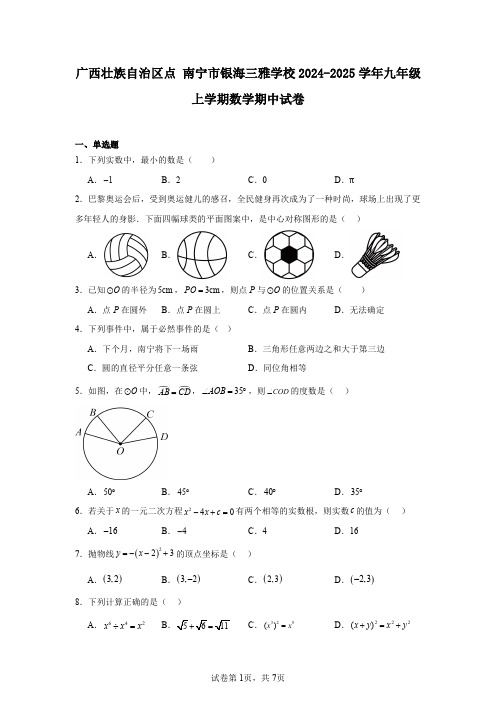 广西壮族自治区点南宁市银海三雅学校2024-2025学年九年级上学期数学期中试卷