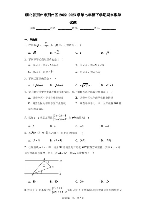 湖北省荆州市荆州区2022-2023学年七年级下学期期末数学试题