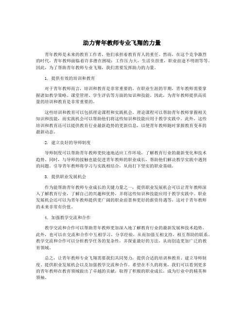 助力青年教师专业飞翔的力量