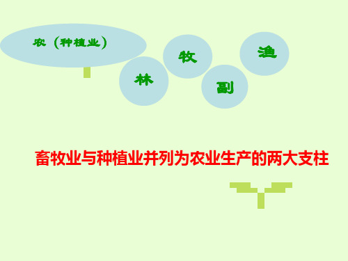 高一下册地理课件以畜牧业为主的农业地域类型(新)