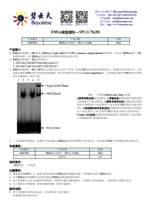 碧云天 EMSA突变探针-SP1 说明书