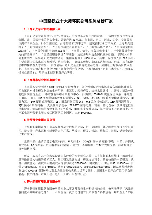 中国泵行业十大循环泵公司品牌总榜厂家