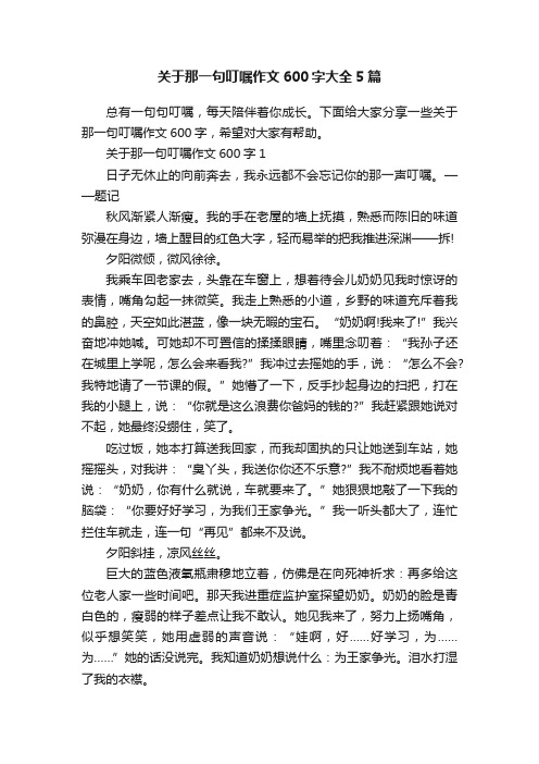 关于那一句叮嘱作文600字大全5篇