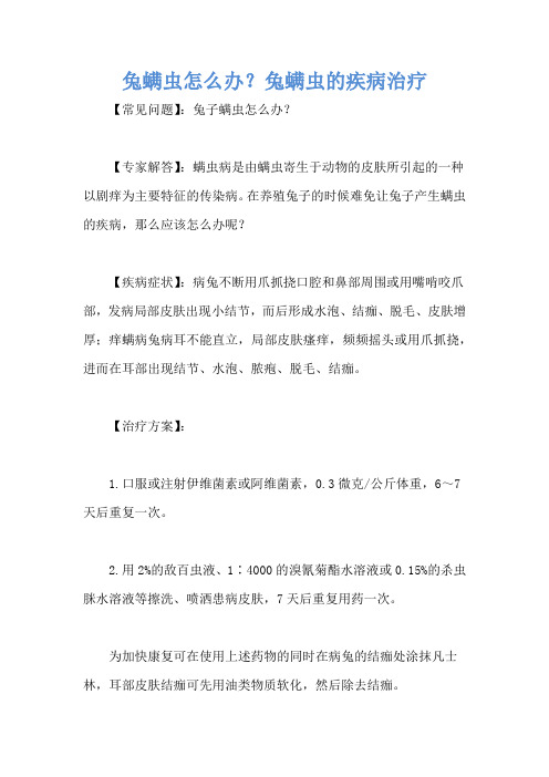 兔螨虫怎么办？兔螨虫的疾病治疗