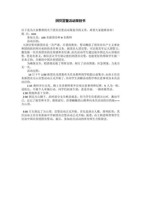 团员宣誓活动策划书