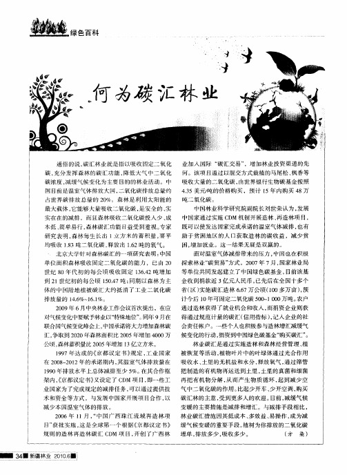 何为碳汇林业