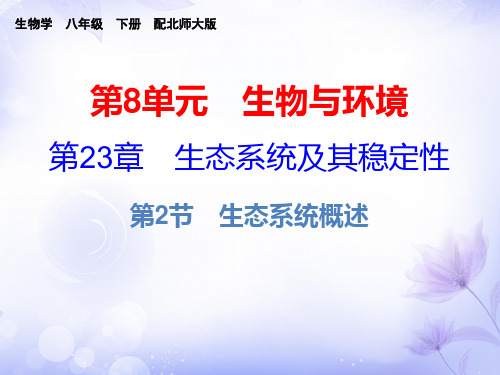 生物八年级下北师大版23.2生态系统概述课件(15张)