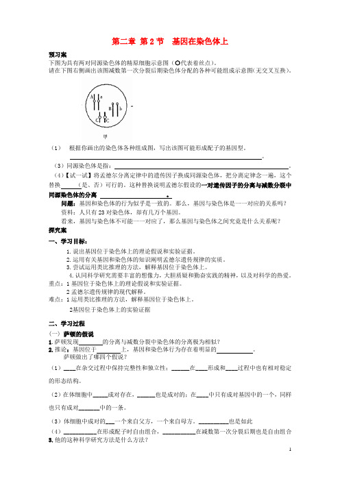 辽宁省丹东宽甸县第一中学高中生物2.2基因在染色体上