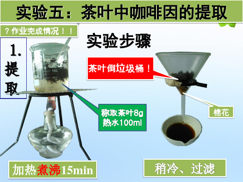 有机化学实验：实验五 茶叶中咖啡因的提取