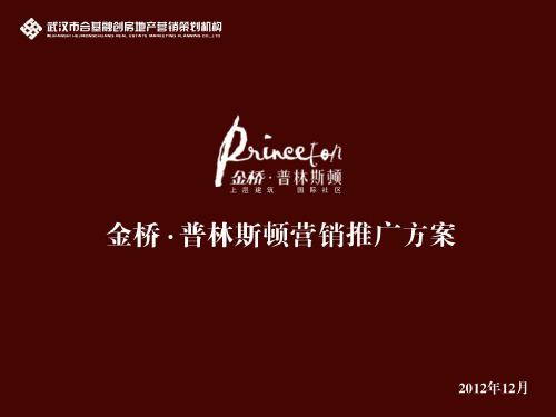 2019武汉金桥普林斯顿全程营销方案62p
