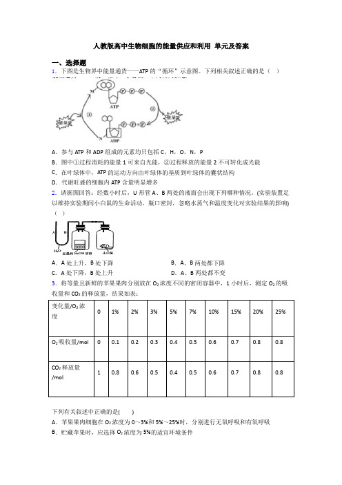 人教版高中生物细胞的能量供应和利用 单元及答案