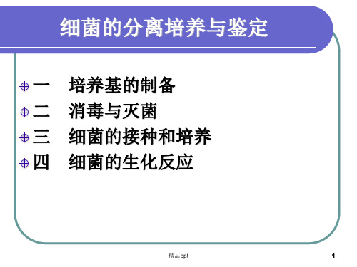 细菌的分离培养与鉴定PPT课件