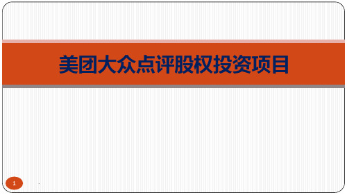 美团大众点评股权投资项目PPT课件