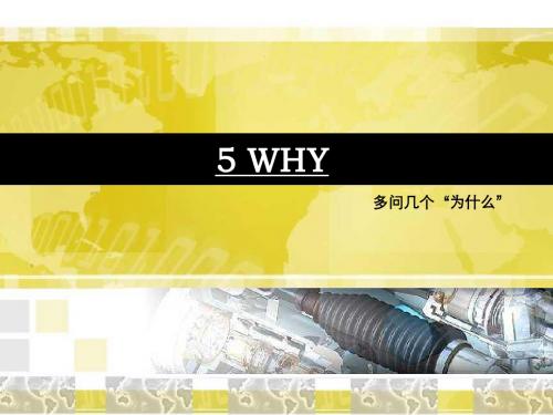 5WHY培训