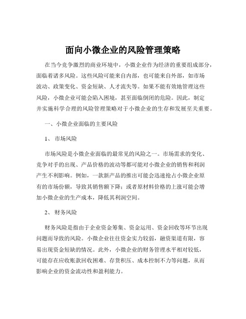 面向小微企业的风险管理策略