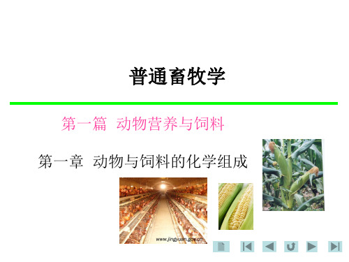 畜牧学-动物与饲料的化学组成PPT课件