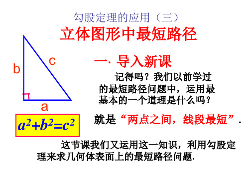 勾股定理的应用(最短路径问题)(2)